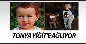TONYA YİĞİT'E AĞLIYOR