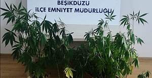 Beşikdüzü’nde uyuşturucu operasyonu