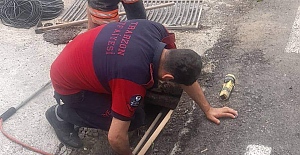 SOKAK KÖPEĞİ İÇİN SEFERBER OLDULAR